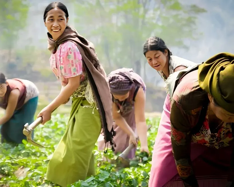 Women of a Self-Help Group working together in a vegetable field